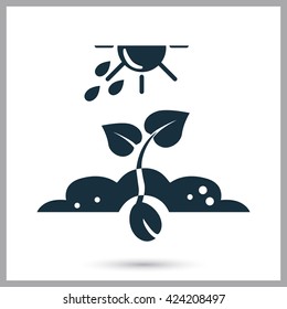Crop growth icon on the background
