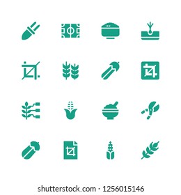 crop icon set. Collection of 16 filled crop icons included Wheat, Corn, Crop, Courgette, Shears, Rice, Tuber, Field