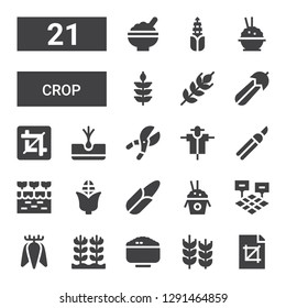 crop icon set. Collection of 21 filled crop icons included Crop, Wheat, Rice, Tuber, Field, Corn, Farm, Shears, Scarecrow, Courgette