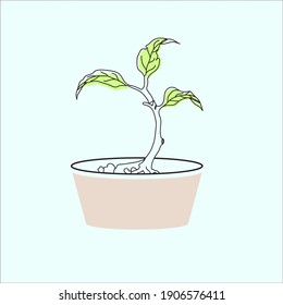 
crop line drawings suitable for t-shirt illustrations and more