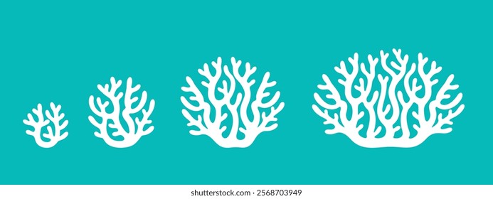 Crop stages of coral. Isolated coral on white background