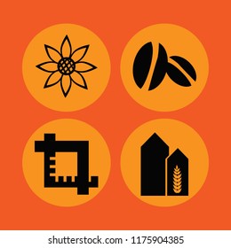 Crop vector icons set. with sunflower, coffee beans, wheat harvest growth and crop in set