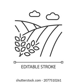 Cropland linear icon. Crops production and harvest. Farming and arable land. Agricultural area. Thin line customizable illustration. Contour symbol. Vector isolated outline drawing. Editable stroke