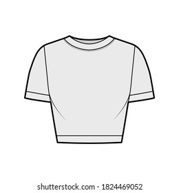 Cropped cotton-jersey t-shirt technical fashion illustration with scoop neck, short sleeves, close fit. Flat outwear apparel template front, grey color. Women, men, unisex top CAD mockup