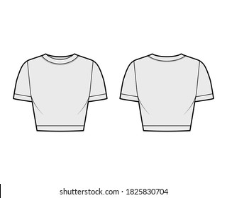 Cropped cotton-jersey t-shirt technical fashion illustration with scoop neck, short sleeves, close fit. Flat outwear apparel template front, back, grey color. Women, men, unisex top CAD mockup