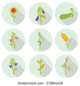 crops flat icons