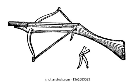 Cross Bow is in effect nothing more nor less than an ordinary bow set crosswise in a butt in shape like an ordinary gunstock, vintage line drawing or engraving illustration.