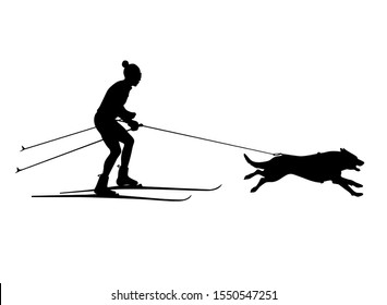 

Cross Country Skiing With Dog In Harness