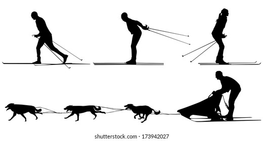 Cross country skiing and dog sledding Sport silhouette