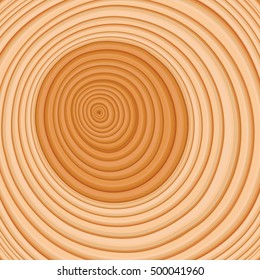 cross cut of a log with annual rings with dark pith stock

