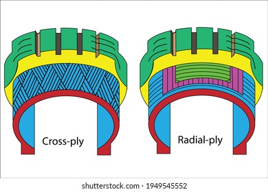 Cross ply and radial ply construction inner lines. Illustration of rubber tire technology and inovation parts.