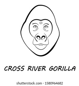 Cross River gorilla face in simple black and white style, vector illustration