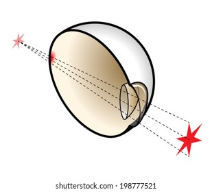 Cross section diagram of a long-sighted human eye.