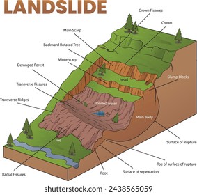 cross section illustration of landslide diagram - vector