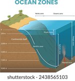 cross section illustration of ocean zones diagram - vector