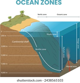 cross section illustration of ocean zones diagram - vector