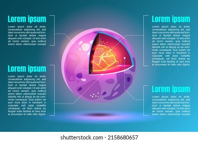 A cross section infographic showing the surface and interior of a new asteroid in space being explored by the space agency.