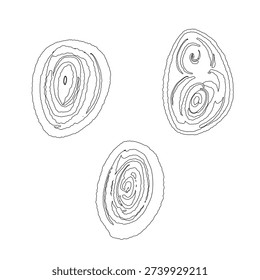 Cross Section of Lemongrass Stalk Outline Drawing