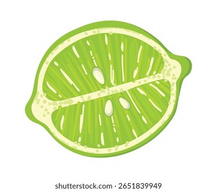 Cross section of a lime displaying vibrant green pulp, textured rind, and tiny seeds, creating a refreshing visual of this juicy citrus fruit bursting with flavor