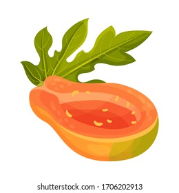 Cross Section of Papaya Fruit Without Black Seeds Vector Illustration