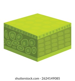 Cross section of a plant leaf showcasing different layers, including epidermis, palisade mesophyll, and spongy mesophyll