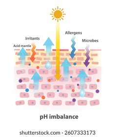 Cross section of skin pH level imbalance illustration. The mechanism of damaged skin barrier. UV rays, irritants, allergens and microbes is factors that can disrupt the acid mantle and pH balance.