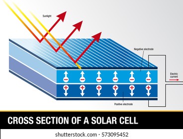 Cross section of a solar cell - Renewable Energy - Vector image