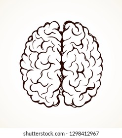 Cross section top detail view healthy neuron logic part on light paper background. Outline black ink hand drawn ill nerve cortex brainy picture logo diagram pictogram in doodle art retro cartoon style