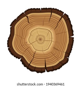 Cross section of the tree. An old tree in a cut. Annual rings. Wood ring texture, tree rings. Vector illustration