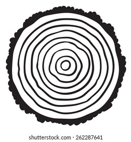 Cross section of tree stump isolated on white background, vector Eps 10 illustration.