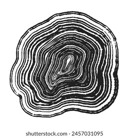 Cross section of tree stump slice with age rings. Black and white grunge wooden texture with concentric rings. Tree ring pattern isolated on white background. Wood grain