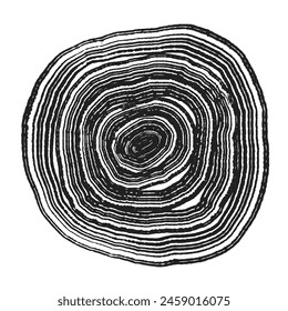 Cross section of tree stump slice with age rings. Black and white grunge wooden texture with concentric rings. Tree ring pattern isolated on white background. Wood grain