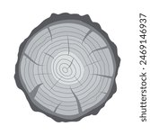 Cross section of tree stump or trunk. Wood cut. Vector illustration in flat style