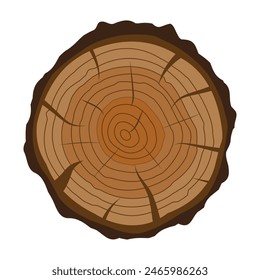 Cross section of tree stump or trunk. Wood cut. Vector illustration in flat style