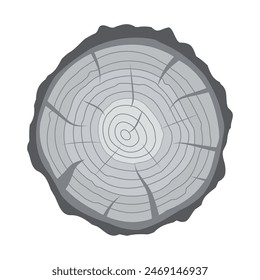 Cross section of tree stump or trunk. Wood cut. Vector illustration in flat style