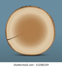Cross section of tree stump. Vector illustration