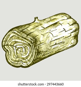 Cross section of tree stump. Vector Image