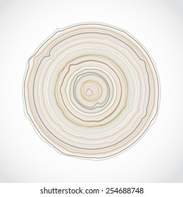 Cross section of tree trunk isolated on white background. Wood stump rings texture, wooden background. Vector 