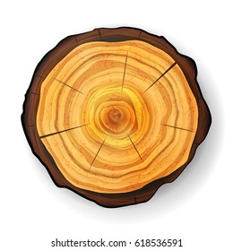 Cross Section Tree Wooden Stump Vector. Trunk Stump. Isolated Illustration.