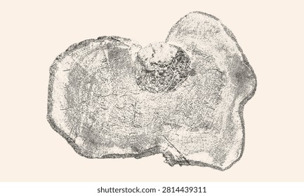 Cross section of a wooden log showing annual rings and unique texture. Natural wood slice for rustic decor and woodworking. Detail of an organic tree stump for forestry and design projects.