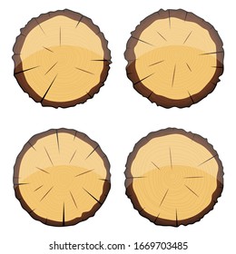 Cross section of wooden tree vector design illustration isolated on white background 