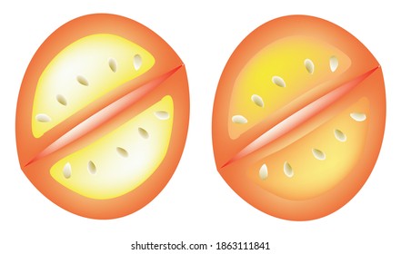 トマト 断面 のイラスト素材 画像 ベクター画像 Shutterstock