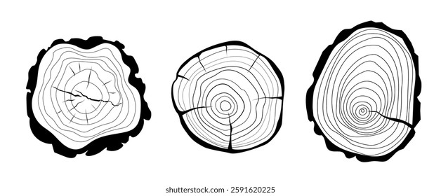 Cross sections of tree growth rings. Set of tree stumps isolated. Collection of slices of tree with growth rings, slabs of tree trunk. Natural wood. Ring pattern, wood texture. Vector design elements