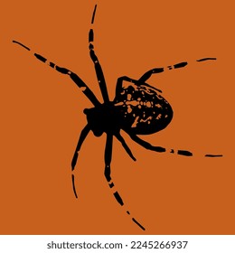 Cross spider. Araneus diadematus. Halloween design. European garden spider. Black silhouette on orange background.
