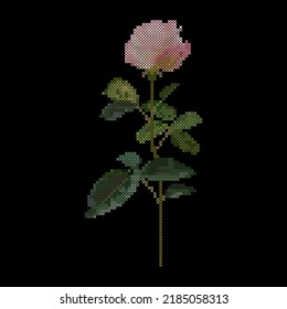 Cross stitch rose flower. Floral embroidery pattern, vector illustration.