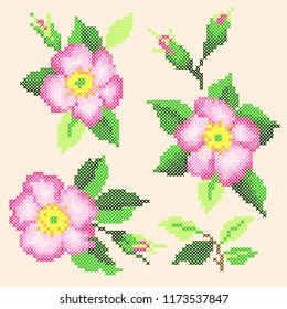 cross stitch rosehip