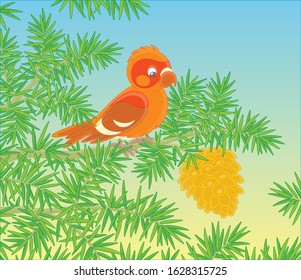 Crossbill with a big cone on a prickly branch of a green fir tree in a wild forest, vector cartoon illustration