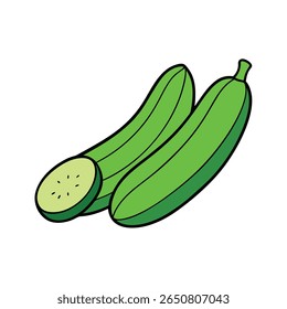 Crosscut zucchini slices in green fresh layout flat veggie art Vector illustration