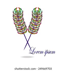 Crossed Feather Quill Logo vector design template. Creative idea logotype for Writing Contest & Competition. Publishing concept icon. Retro pen symbol. Feather for cosmetics, beauty, health & jewelry.
