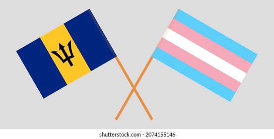 Crossed flags of Barbados and transgender pride. Official colors. Correct proportion. Vector illustration